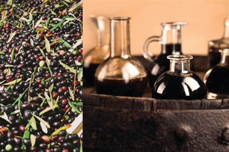 frantoio hermes indirizzo|Five Regions Where Wine, Olive Oil and Vinegar Coincide.